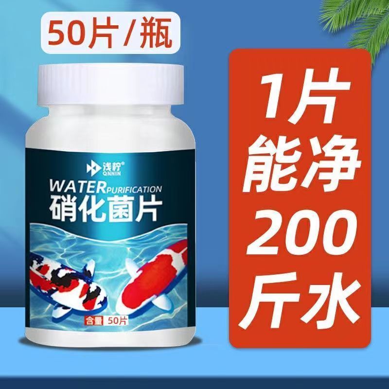 硝化细菌净水剂水质澄清净化