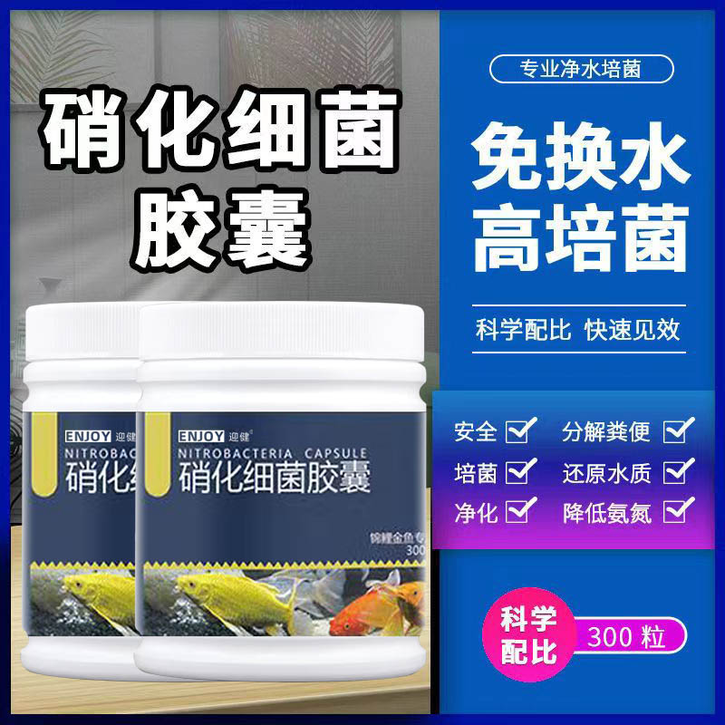 硝化细菌鱼缸用硝化菌胶囊消化干粉专用净水剂粪便除氯换水养鱼