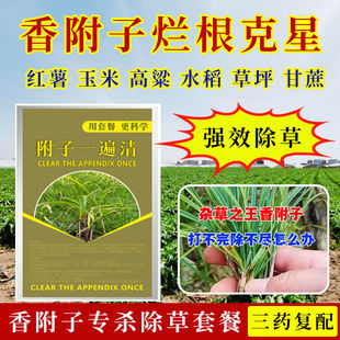 香附子克星强效除草剂玉米异形莎草科烂根死根甘蔗草坪水稻红薯