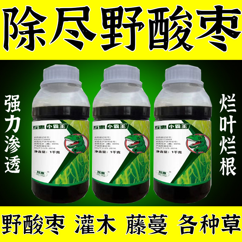 【强效滁野酸枣】强烂根剂打野酸枣野枸杞不想要烂根开荒彻底清理