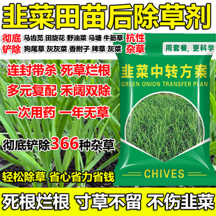 韭菜苗后除草剂死草烂根不伤韭菜禾阔双除芦苇马塘稗草水花生正品