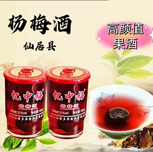 浙江仙居杨梅酒6小瓶装男女士果酒155ml低度21度梅子酒果味小瓶酒