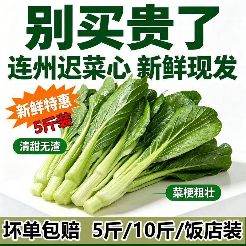 连州菜心新鲜现摘现发农家自种