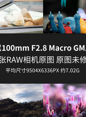 索尼100mmF2.8Macro GM原片RAW+JPG相机直出未修原图高清素材图片