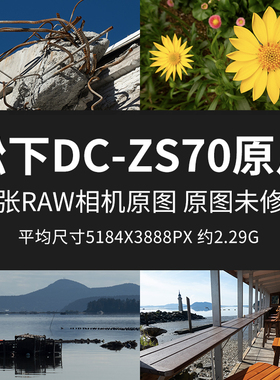 松下DC-ZS70原片原图RAW+JPG相机直出未修图高清练习摄影素材图片