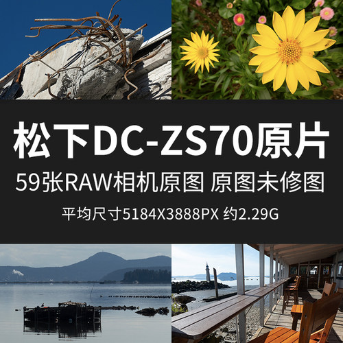 松下DC-ZS70原片原图RAW+JPG相机直出未修图高清练习摄影素材图片