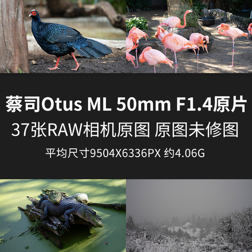 蔡司Otus ML 50mm F1.4原片样片RAW+JPG相机原图未修直出高清图片