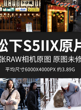 松下S5IIX原片原图RAW+JPG相机直出图片日本未修参考素材摄影图片