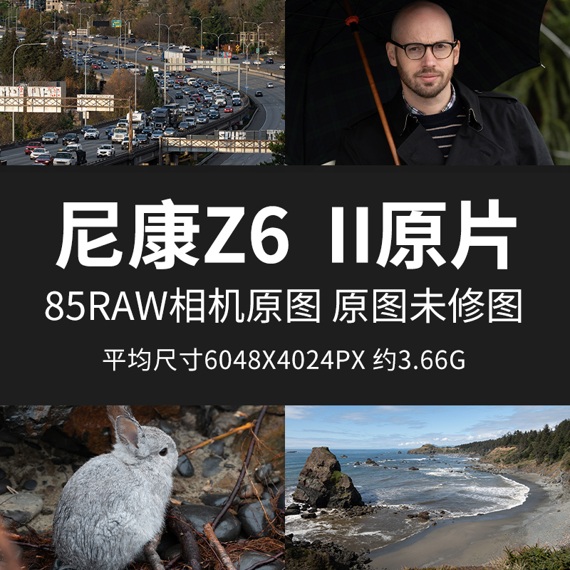 尼康Z6II原片原图RAW+JPG相机直出图片练习未修图参考素材高清图