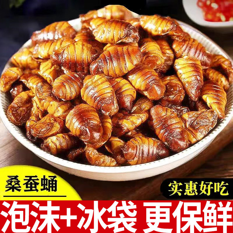 蚕蛹农家新鲜干净桑蚕蛹生小蚕蛹茧蛹子山东特产蚕蛹钓鱼人吃都行