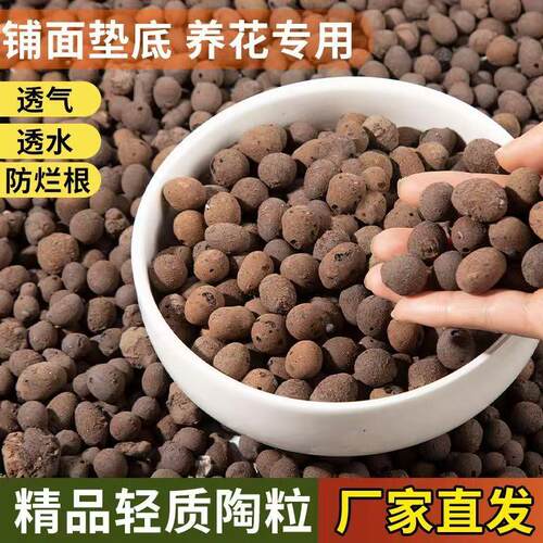 陶粒垫底多肉专用营养土水培植物