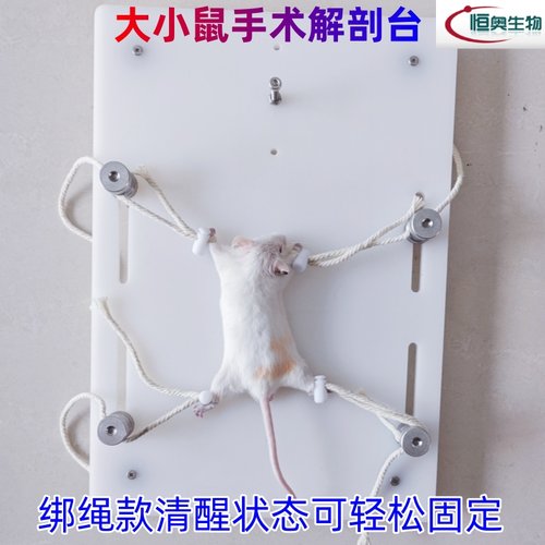 小鼠手术台大鼠解剖台送棉绳卡扣