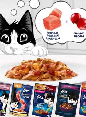 现货 俄罗斯进口Felix猫咪湿粮餐包猫粮餐盒主食餐包