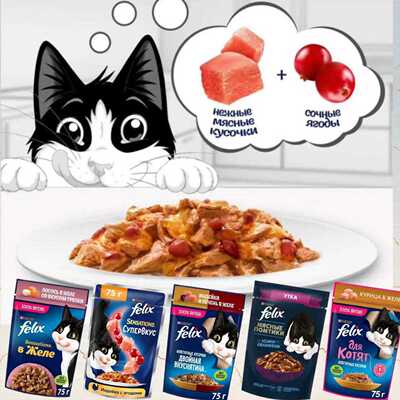 现货俄罗斯进口湿粮餐包