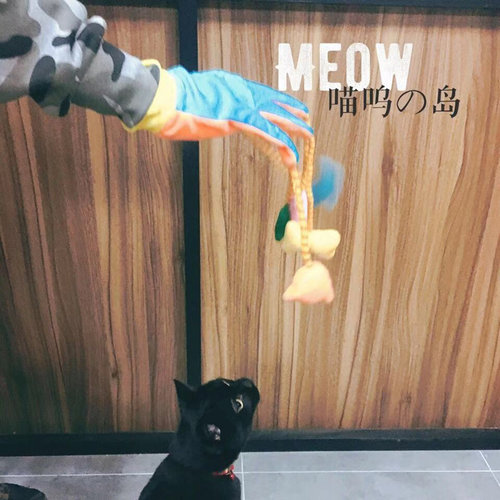 现货意大利逗猫手套互动绳结玩具