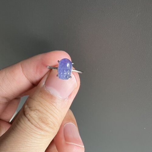 天然坦桑石貔貅纯银戒指 S925银活口可调 Y272