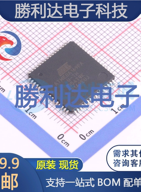 ATMEGA169PA-AUR封装TQFP-64处理器 全新现货