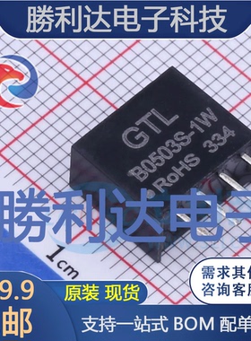 B0503S-1W封装Through Hole电源模块全新现货 量大价优