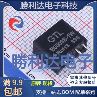 B0503S-1W封装Through Hole电源模块全新现货 量大价优