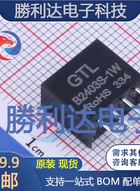 B2403S-1W封装Through Hole电源模块全新现货 量大价优