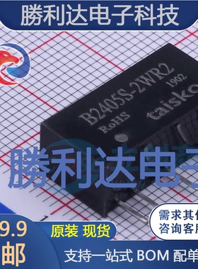B2405S-2WR2封装Through Hole电源模块全新现货 量大价优