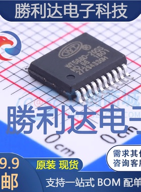 WT588D-20SS封装SSOP-20_208mil音频接口芯片全新现货 量大价优