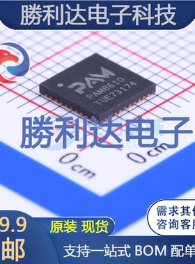 PAM8610TR封装QFN-40_6x6x05P音频功率放大器 全新现货