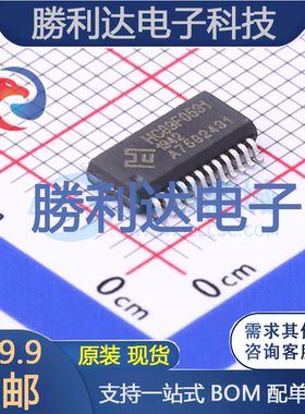 HC89F0531-SSOP24-T-M封装SSOP-24其他处理器及微控制 全新现货