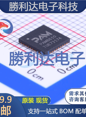 PAM8610TR封装QFN-40_6x6x05P音频功率放大器 全新现货