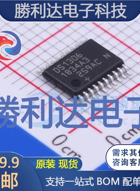 DS1306EN+T&R封装TSSOP-20实时时钟RTC全新现货 量大价优