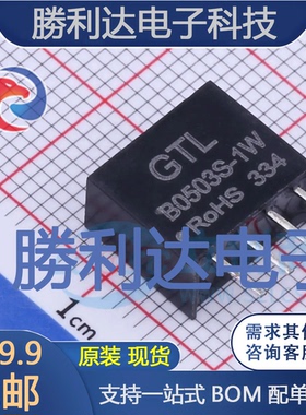 B0503S-1W封装Through Hole电源模块全新现货 量大价优