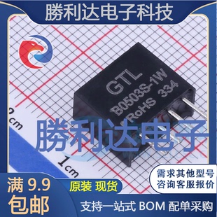 B0503S-1W封装Through Hole电源模块全新现货 量大价优