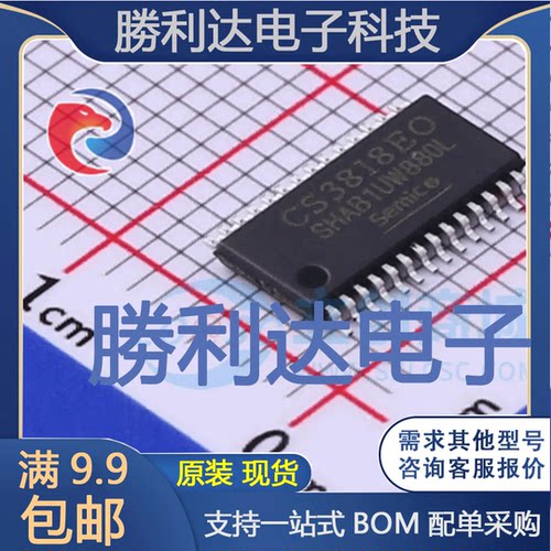 CS3818EO封装HTSSOP28音频功率放大器全新现货 量大价优
