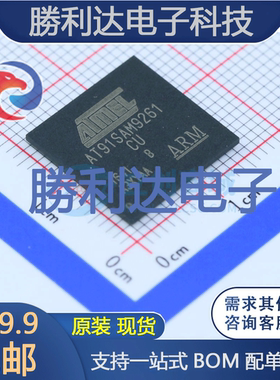 AT91SAM9261B-CU封装LFBGA-217处理器 全新现货