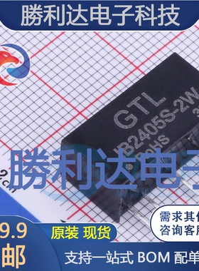 IB2405S-2W封装Through Hole电源模块全新现货 量大价优