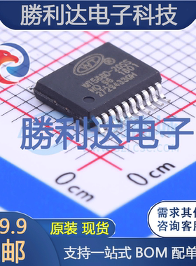 WT588D-20SS封装SSOP-20_208mil音频接口芯片全新现货 量大价优