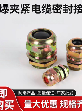 防爆电缆夹紧密封接头BDM-II防爆格兰头密封防水引入装置可定制