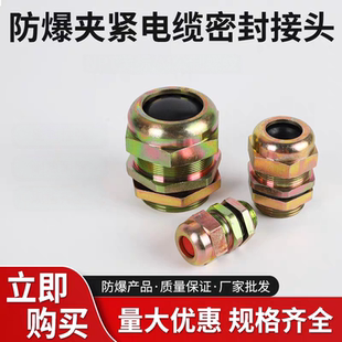防爆电缆夹紧密封接头BDM-II防爆格兰头密封防水引入装置可定制