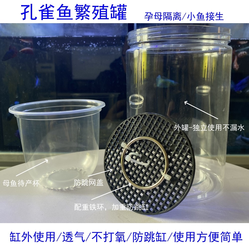 自制塑料孔雀鱼孵化隔离盒繁殖罐小型鱼繁殖母鱼产房缸外独立使用
