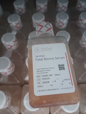 Vivacell 特级胎牛血清FBS  赛多利斯 C04001-500 干冰顺丰包邮