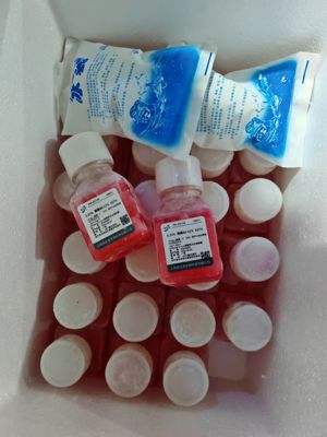 0.25%胰蛋白酶消化溶液含EDTA采用gibco干粉配置