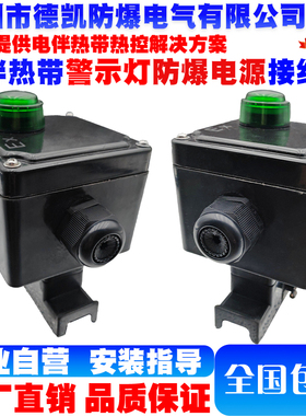 电伴热带指示灯防爆电源接线盒G3/4 DN20/M25*1.5