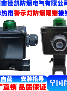 电伴热带指示灯防爆尾端接线盒G3/4 DN20/M25*1.5