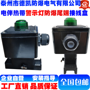 电伴热带指示灯防爆尾端接线盒G3/4 DN20/M25*1.5