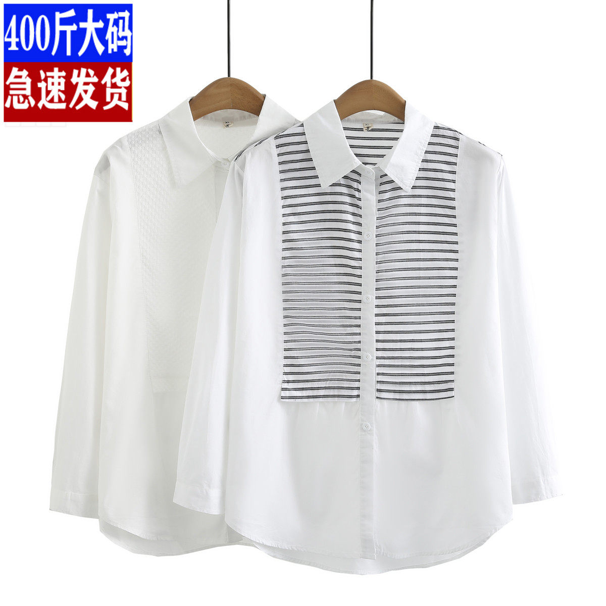 大码女装天丝纯棉长袖衬衣200斤胖mm春装POLO领拼接条纹上衣外套