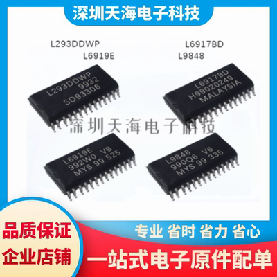 全新原装 L293DDWP L6917BD L6919E L9848 现货