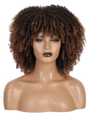 Synthetic Wig Curly Afro African Wigs外贸非洲黑人小卷化纤假
