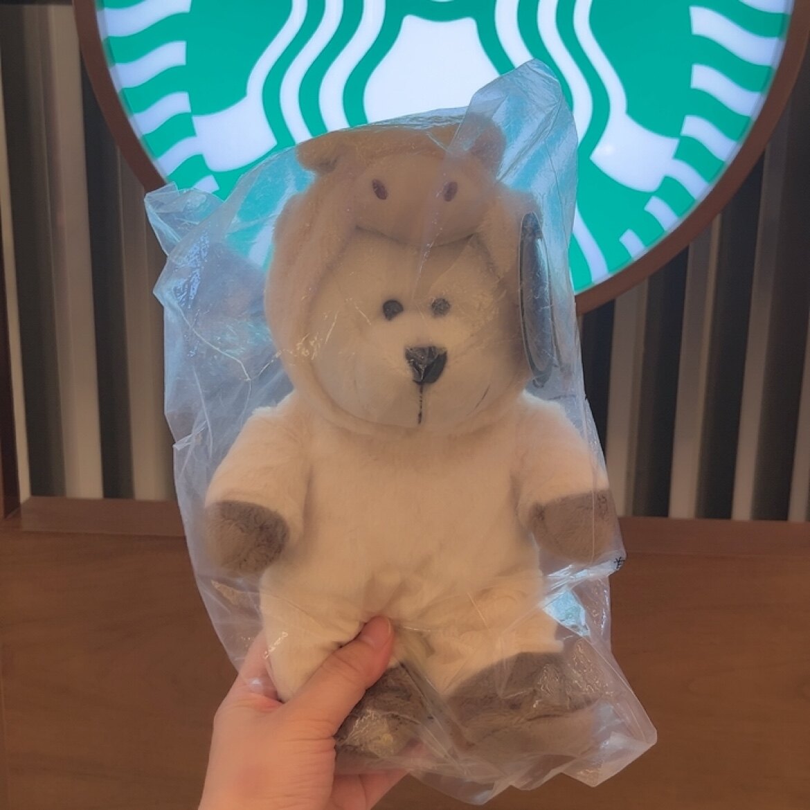 全新港澳限定星巴克starbucks马年福安熊宝宝熊店长毛绒公仔玩偶