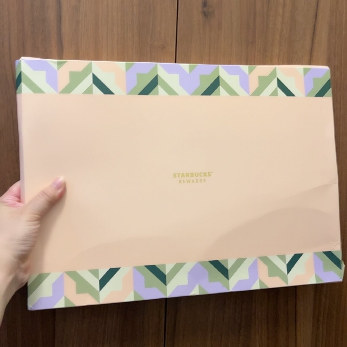 全新星巴克向绿星生系列电脑收纳包14寸平板笔记本电脑保护套ipad