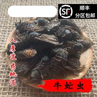 精选 中药材 虻虫 牛虻虫 牛牤虫 50g 可打粉 无硫 包邮